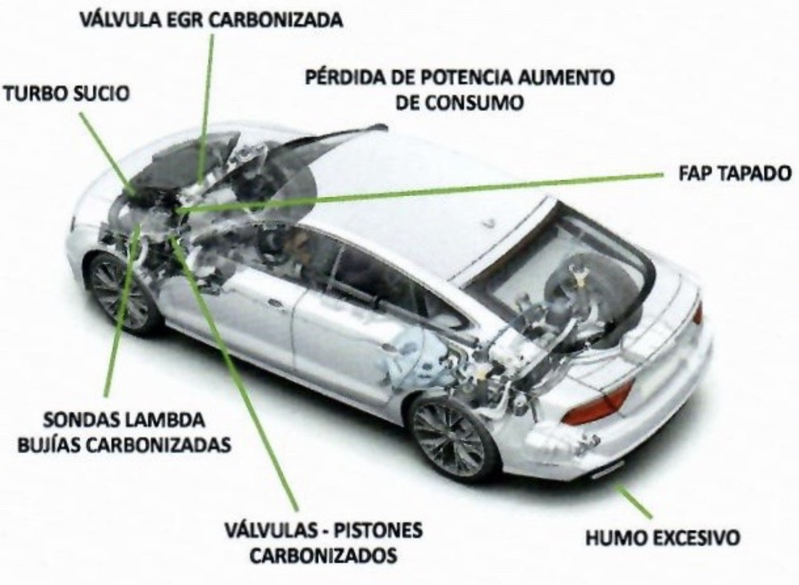 carbonilla image